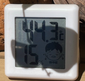 気温　40℃超え
