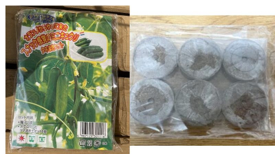 ミニきゅうり種まきキット　生協