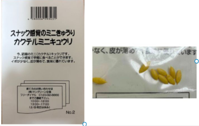 ミニきゅうりの種　生協