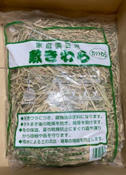 ミニきゅうり乾燥対策　保湿　敷きわら